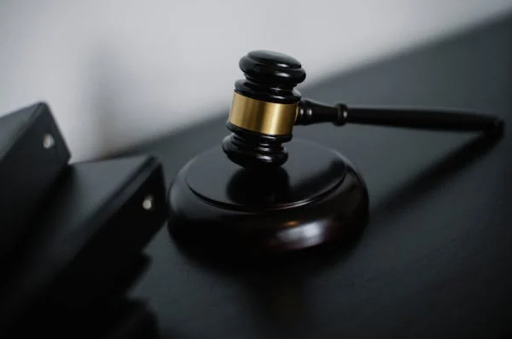 Peran Hukum Dalam Membangun Masyarakat Sipil Yang Demokratis